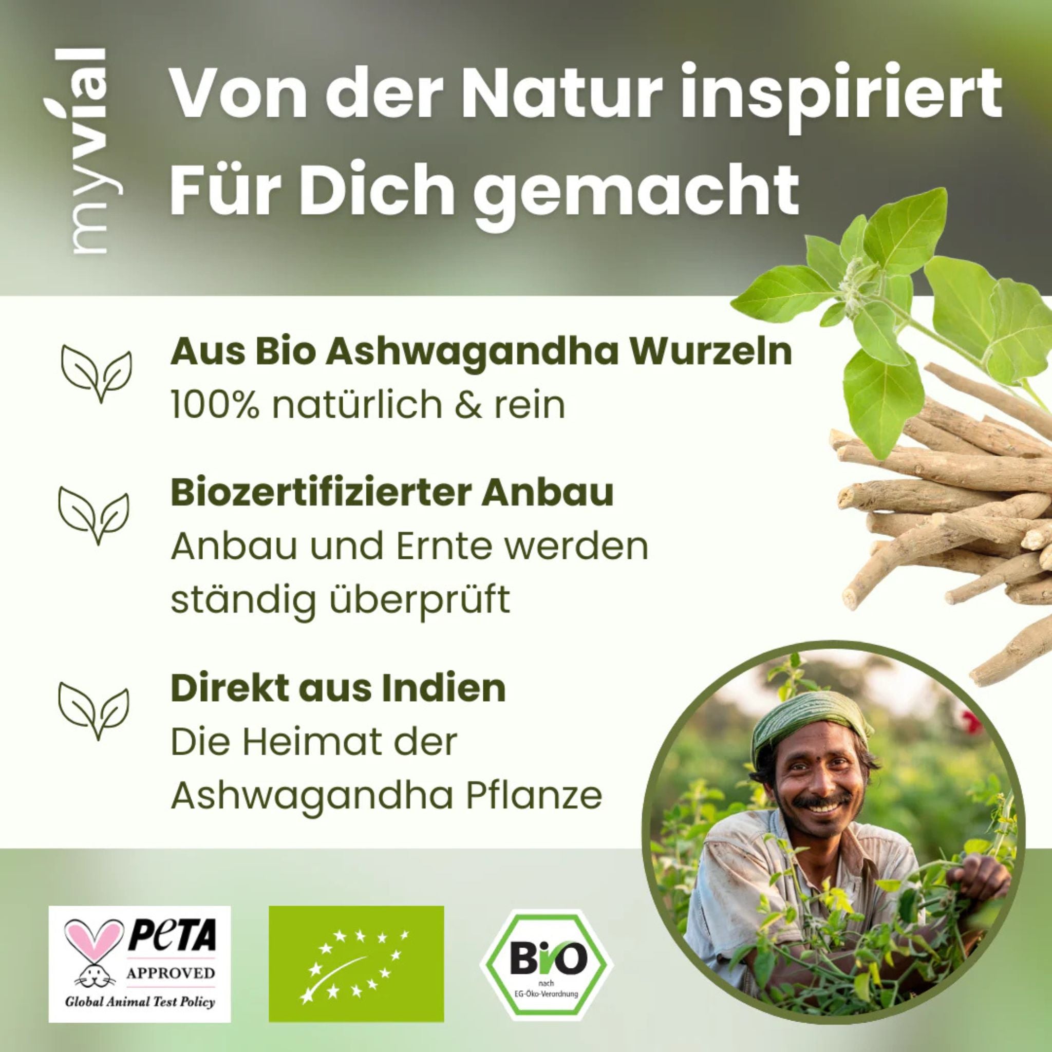 Bio Ashwagandha - 120 Kapseln - myvial - Adaptogen - Adaptogene - Ashwaganda - montcalia.ch