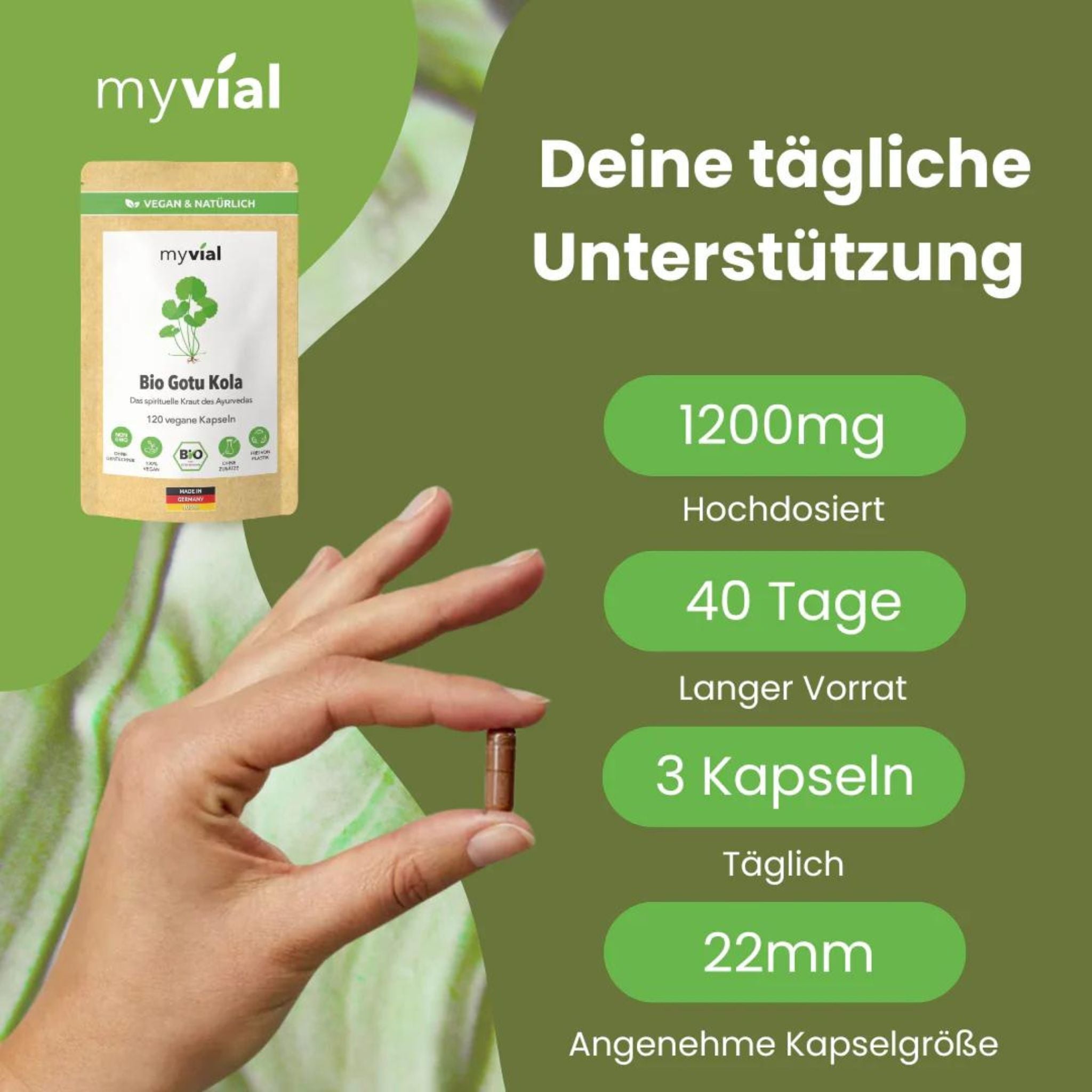 Bio Gotu Kola - 120 Kapseln - montcalia.ch