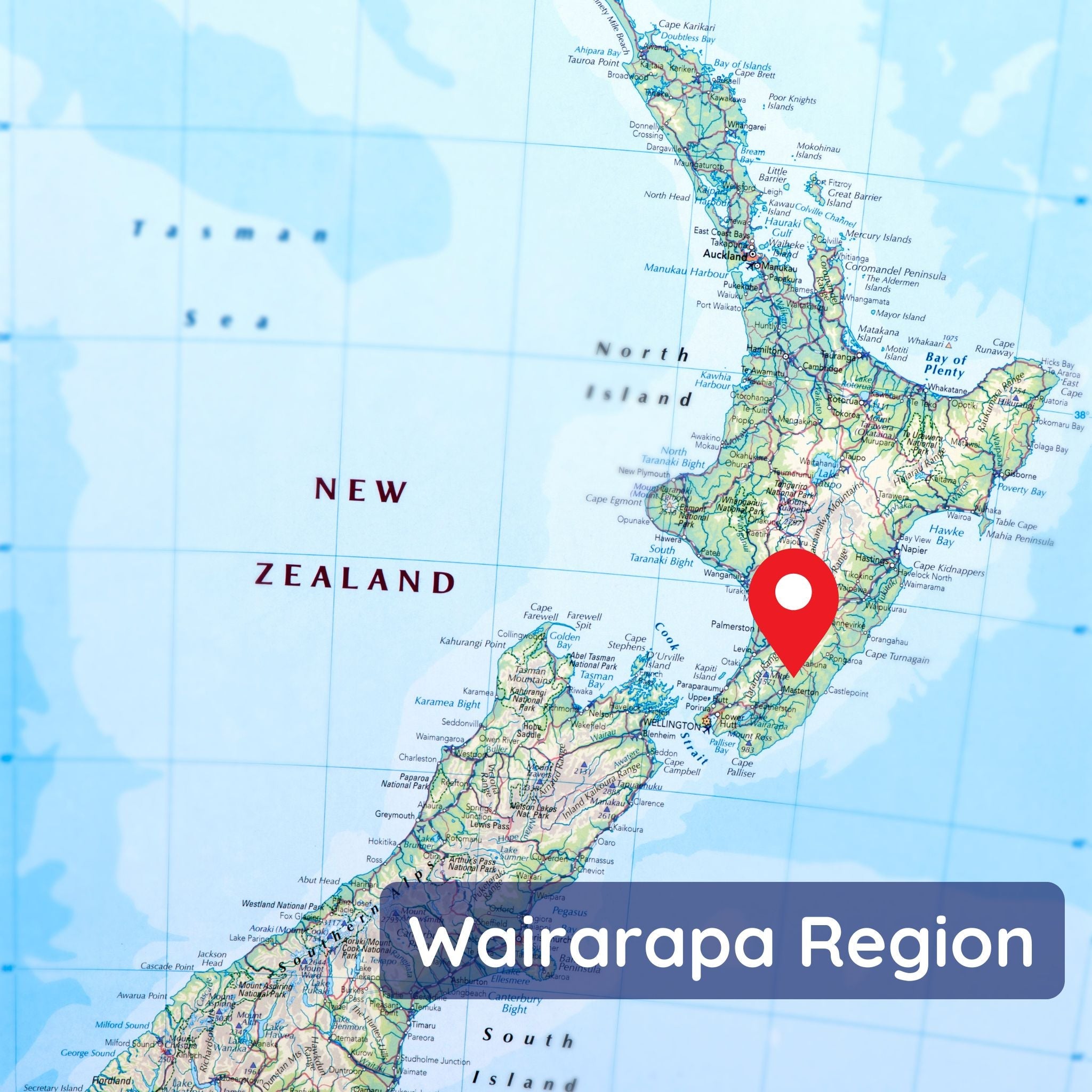 Manuka Honig MGO 250+ im Glas - 250g - Montcalia - Antibakteriell - Honey - Honig - montcalia.ch