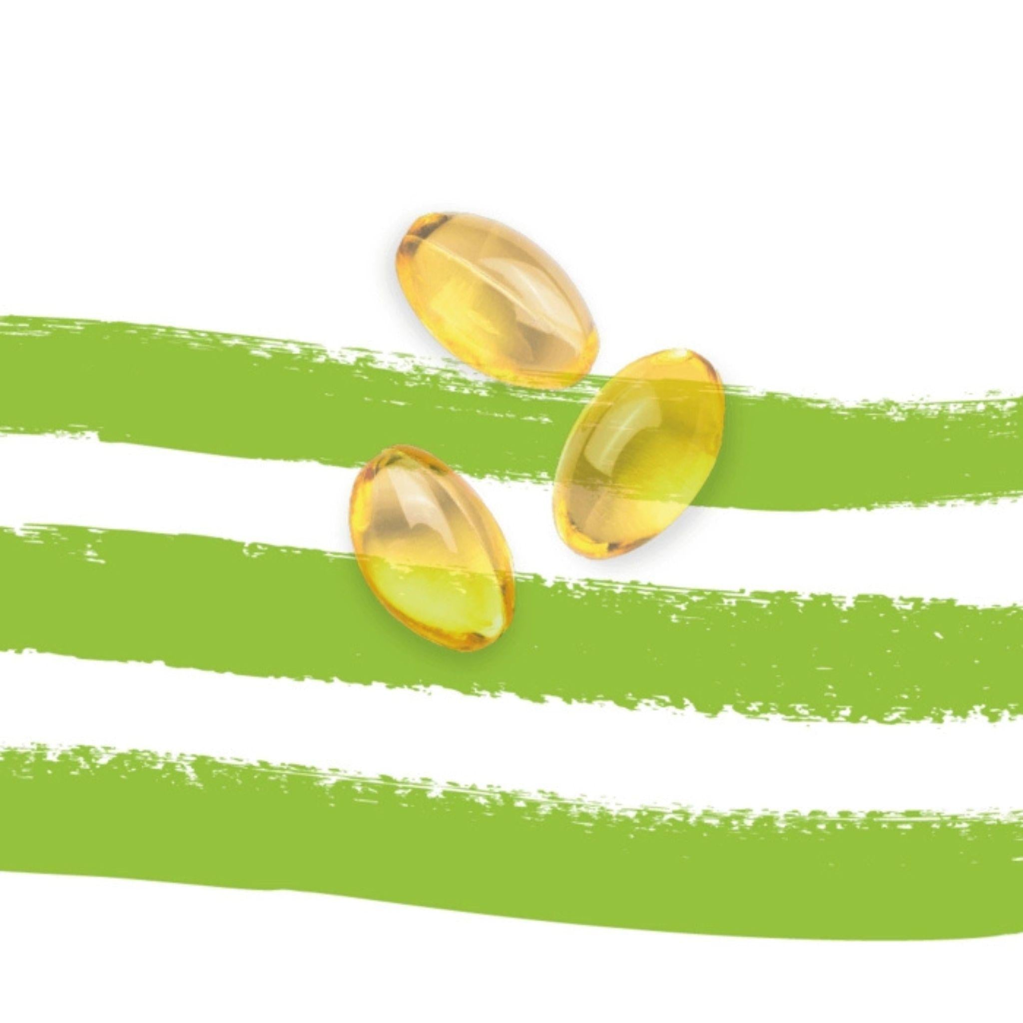 Omega 3 Algenöl Vegan - 60 Kapseln - Arctic Blue - Alaska - Seelachs - Algenöl - Cod liver oil - montcalia.ch