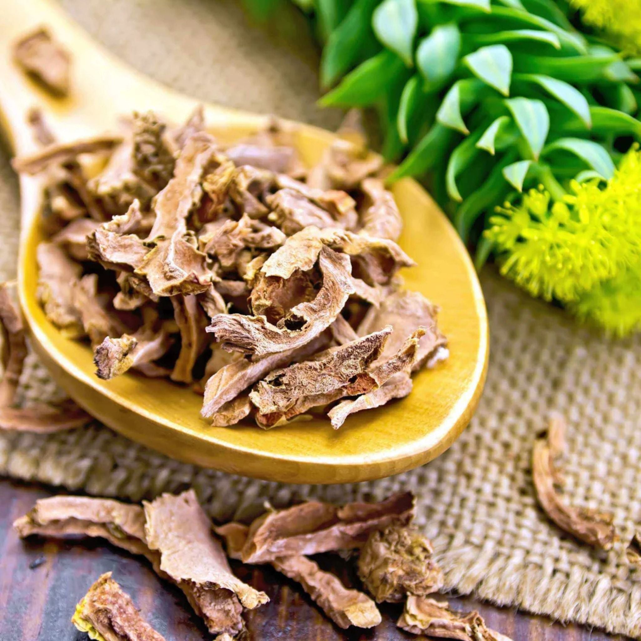 Rhodiola Rosea Extrakt 500mg - 60 Kapseln - Cupplement - Heilpflanze - Kapseln - Rhodiola - montcalia.ch